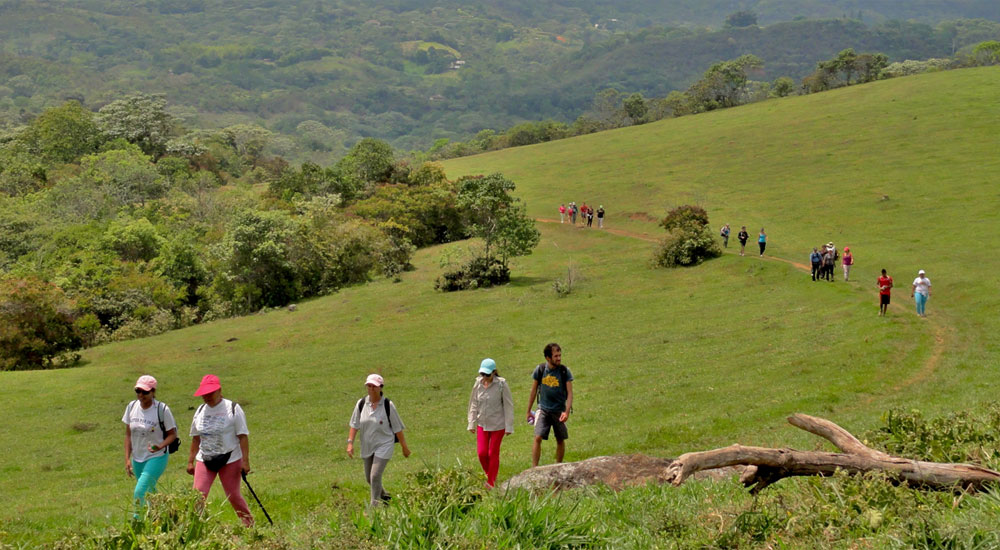 Beneficios de las Caminatas Ecológicas