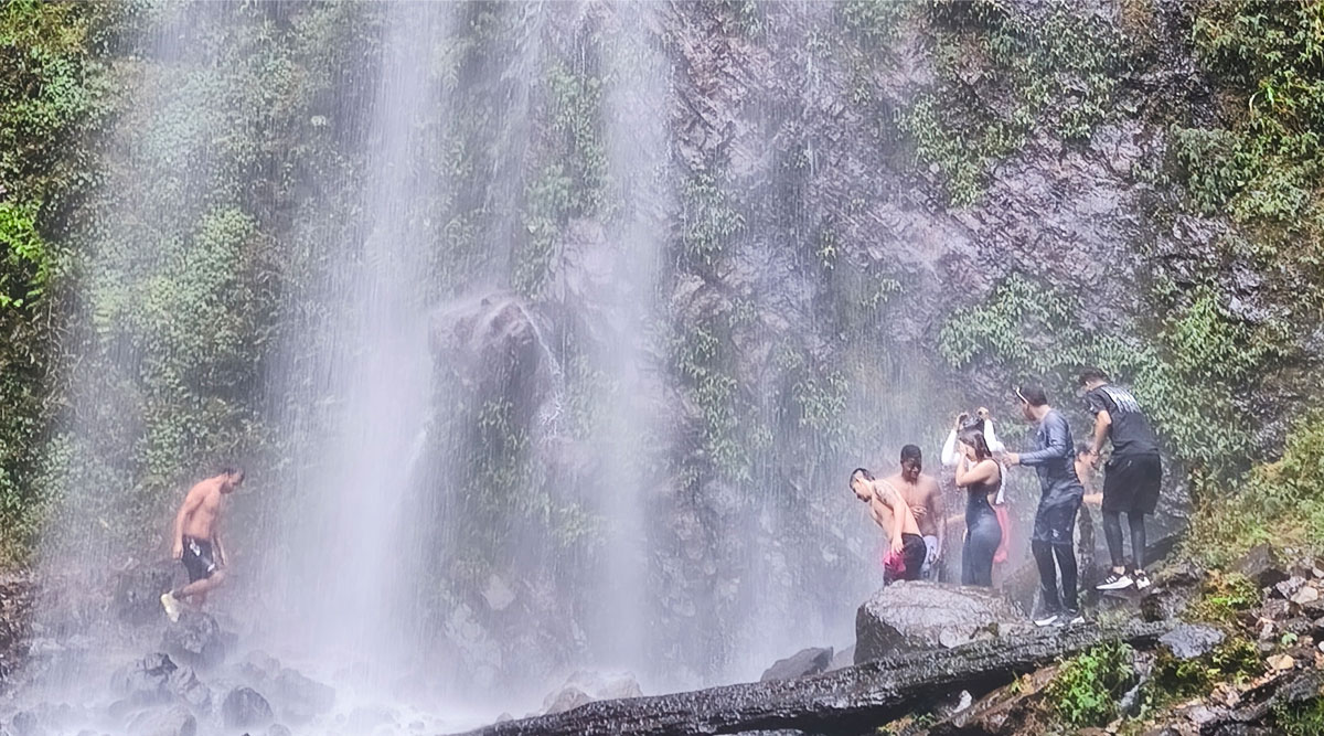 El bosque de Los Sentidos