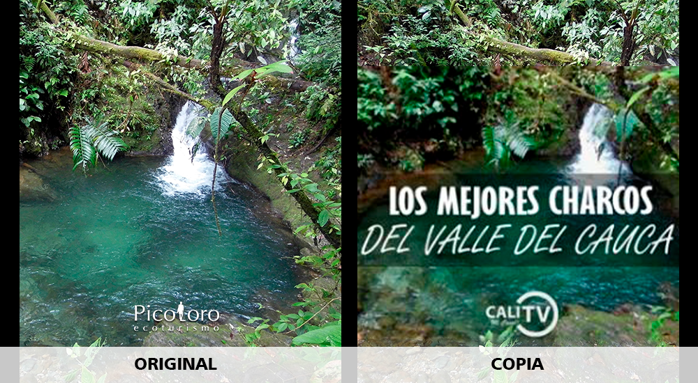 Canal CaliTV viola los derechos de autor