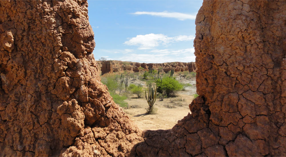 Después de desertiar