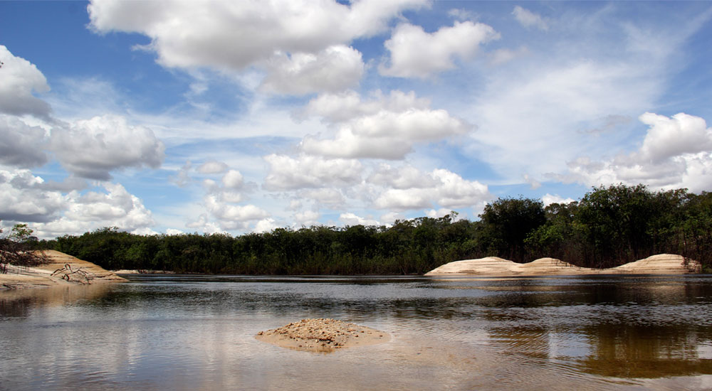 Navegación por el Río Orinoco y sus alrededores