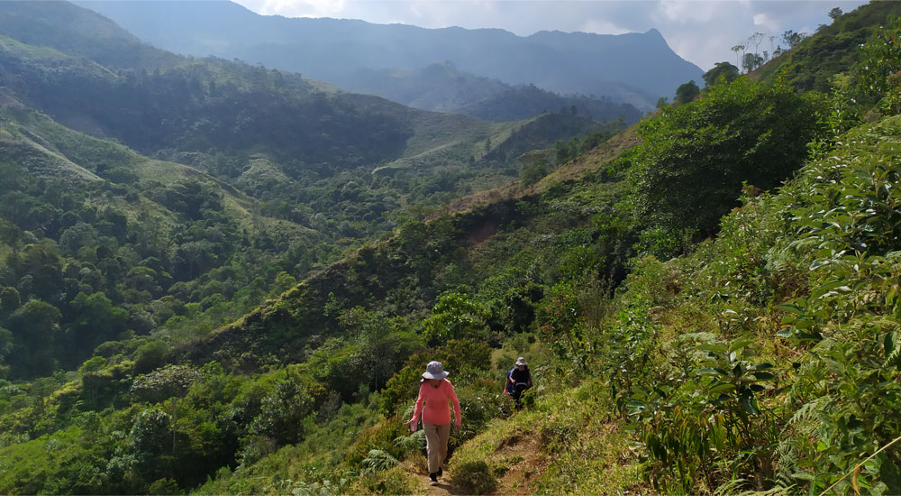 Poner atención a los pies, mejorará tu desempeño en las caminatas ecológicas